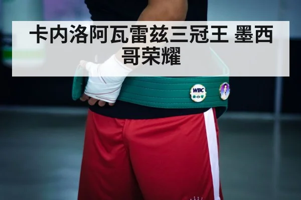boxing championship belt