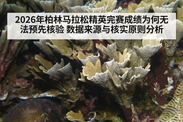2026年柏林马拉松精英完赛成绩为何无法预先核验 数据来源与核实原则分析